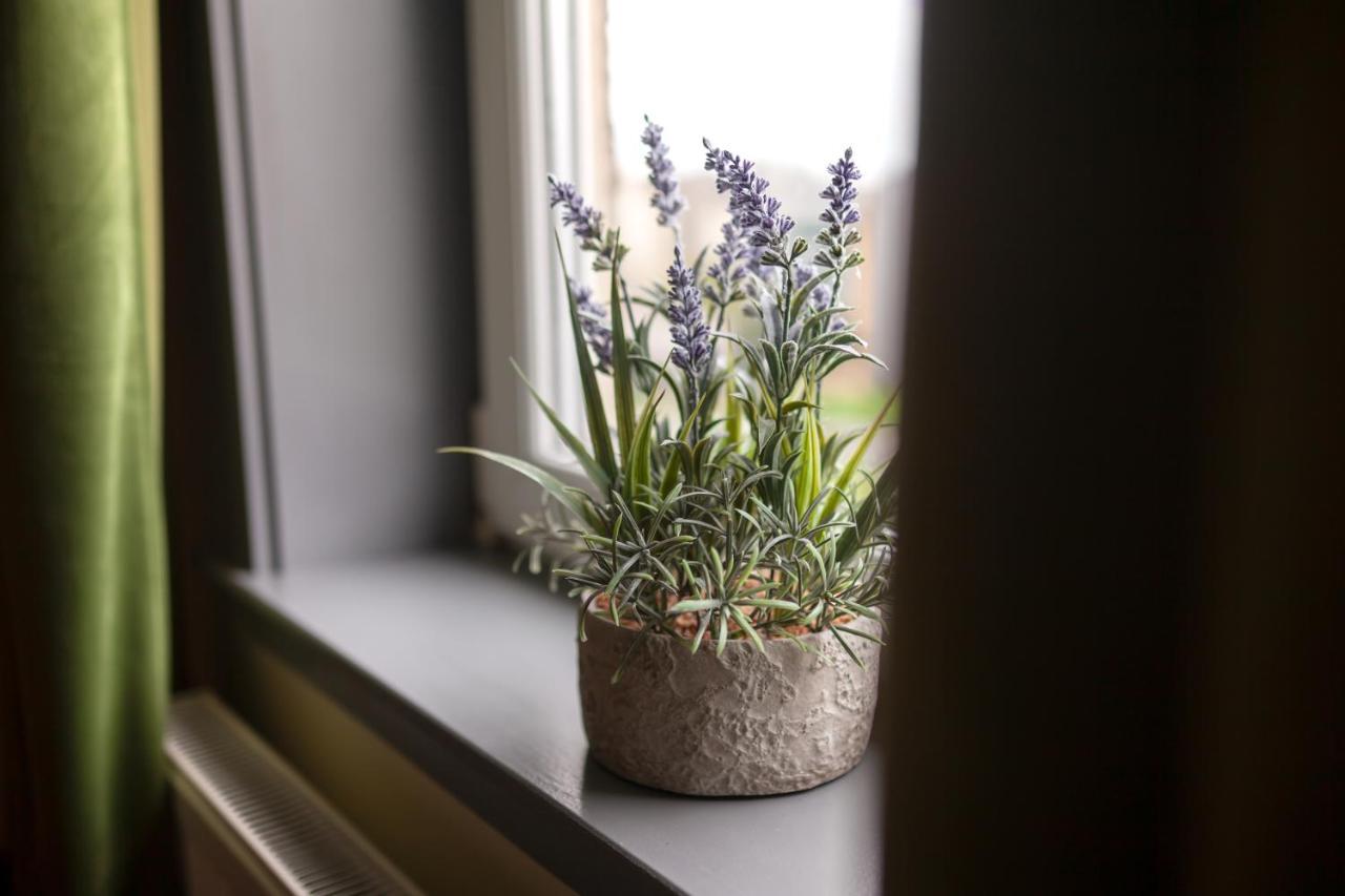 Holyrood New Apartment Edinburgh Ngoại thất bức ảnh